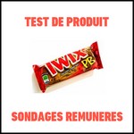 Test de Produit Sondages Rémunérés : Twix Peanut Butter - anti-crise.fr