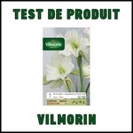 Test de Produit Vilmorin : Bulbe Amaryllis Blanc - anti-crise.fr