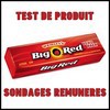 Test de Produit Sondages Rémunérés : Chewing-gum Wrigley Big Red - anti-crise.fr