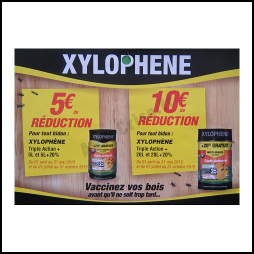 Traitement bois Xylophène 25 ans multi usage de 20L
