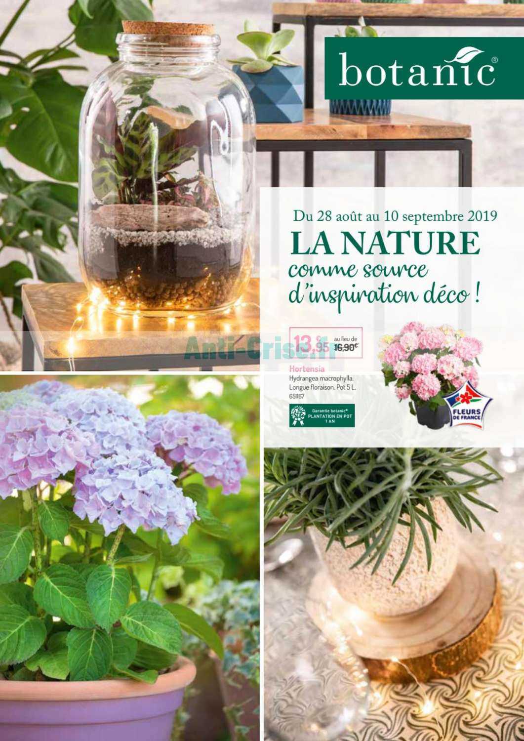 Anticrise.fr  Catalogue Botanic du 28 août au 10 septembre