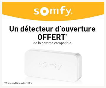 Somfy Protexiom (2400443) Détecteur Fumée Alarme sans Fil