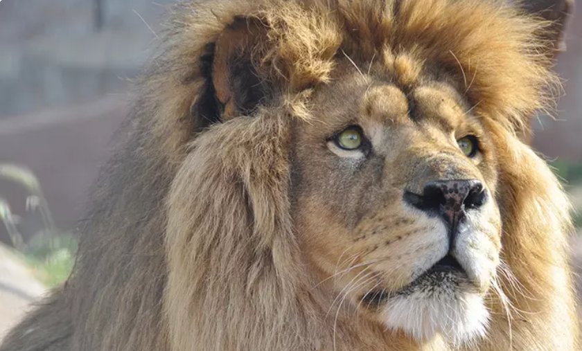 Billets moins chers pour le parc ZOOLOGIQUE DE FREJUS : 9.69 et 11.9€