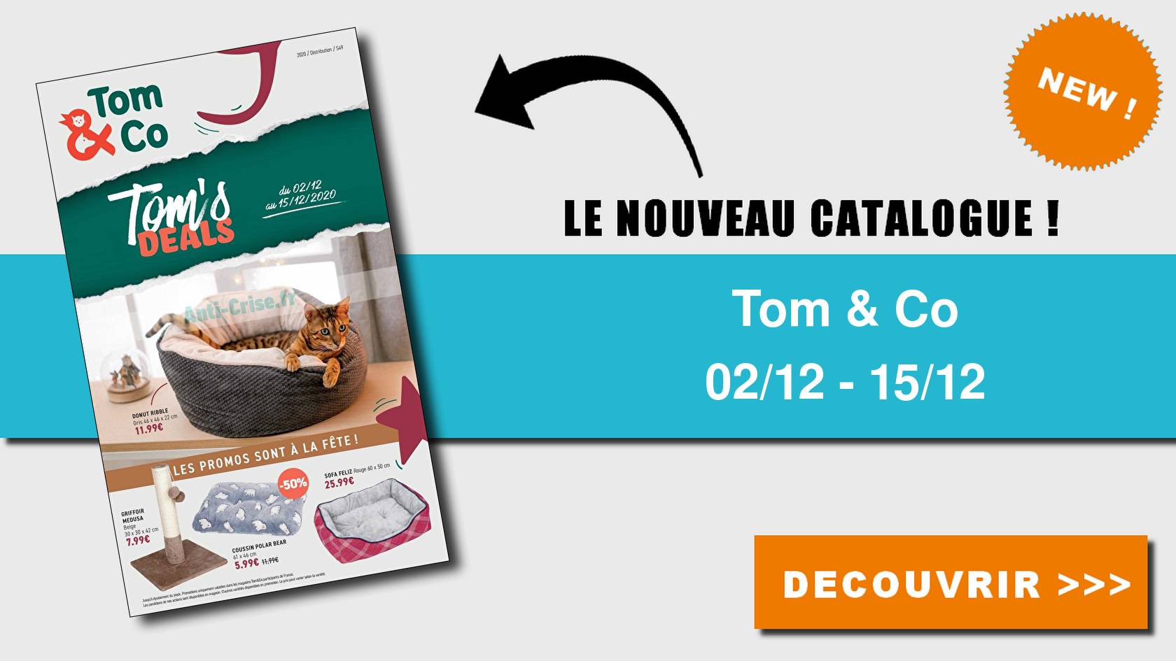 Tom And Co Catalogue Chat
