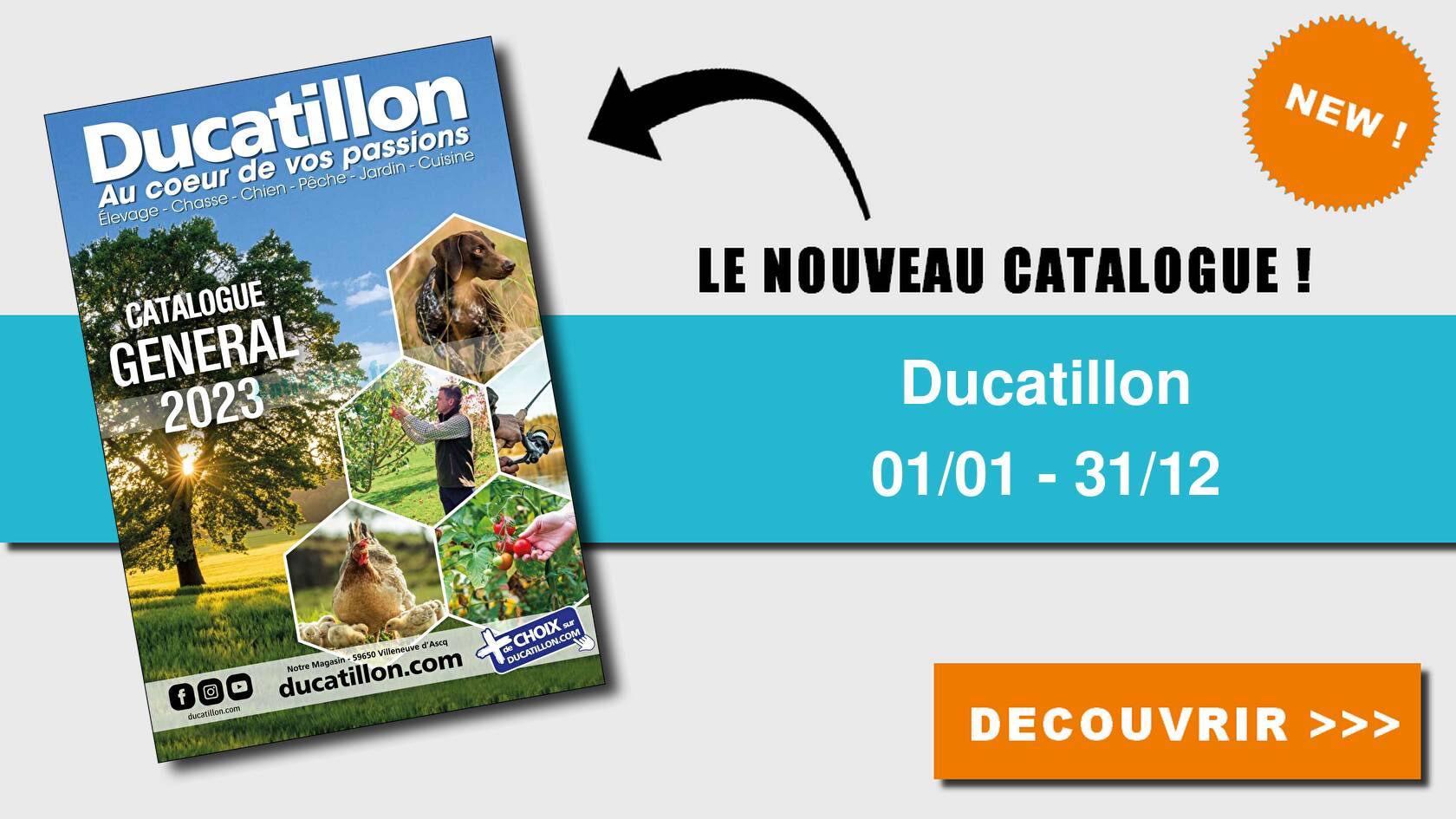 Econome - Ducatillon