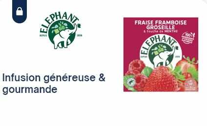 Infusion Parfumée Coffret ELEPHANT : la boite de 50 sachets - 94 g à Prix  Carrefour