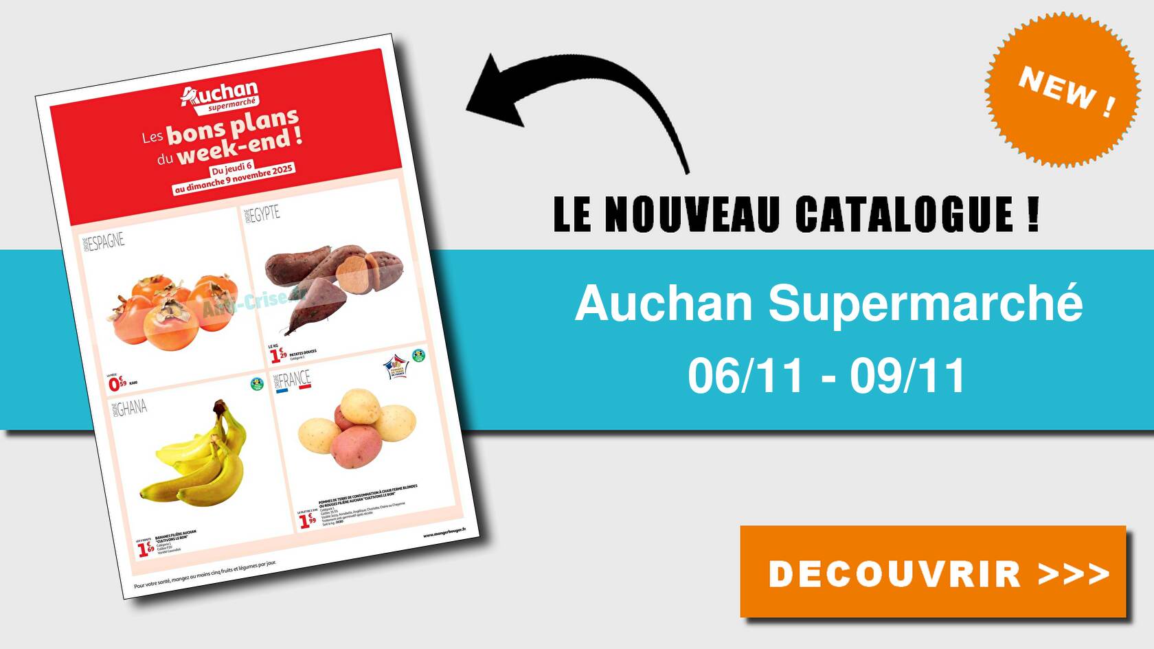 Catalogue du 06 au 09 novembre 2025
