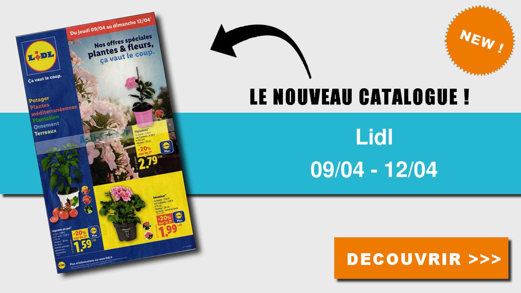 Sitemapcdatahttpwwwinfbizidplantes Et Fleurs Lidlnull